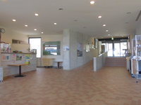 Medium_1 277